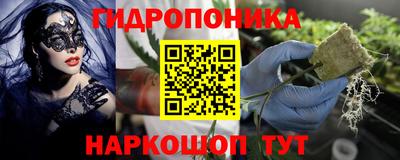 гидропоника Пенза