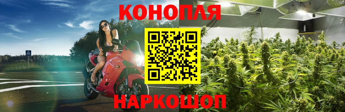 Канабис THC 21%  Вход с VPN  Семилуки  Бошки Шишки конопля 